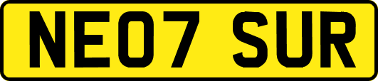 NE07SUR