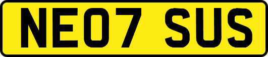 NE07SUS