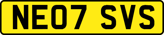 NE07SVS