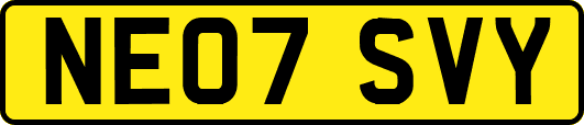 NE07SVY