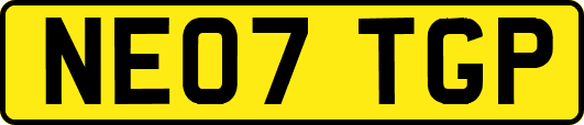 NE07TGP