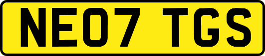 NE07TGS