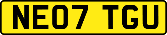 NE07TGU