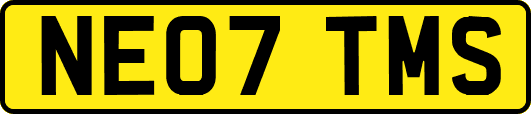 NE07TMS