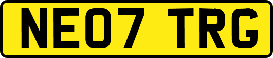 NE07TRG