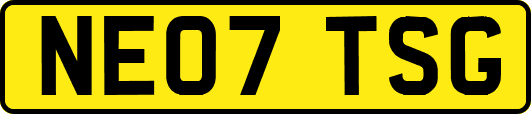 NE07TSG