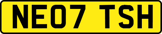 NE07TSH