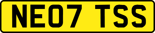 NE07TSS