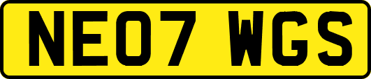 NE07WGS