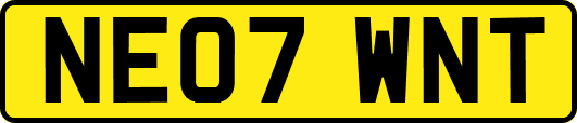 NE07WNT