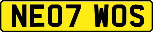 NE07WOS