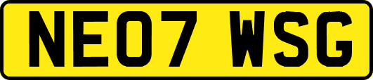 NE07WSG