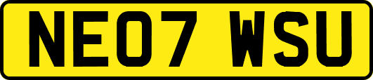 NE07WSU