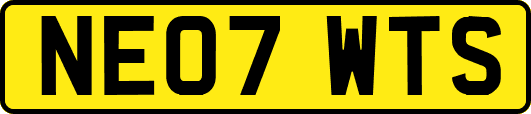 NE07WTS