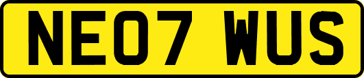 NE07WUS