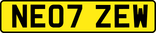 NE07ZEW