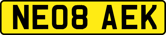 NE08AEK
