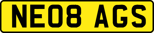 NE08AGS