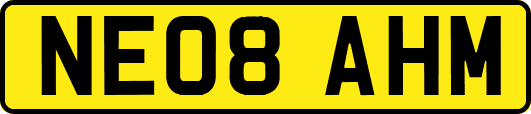 NE08AHM