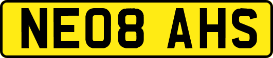NE08AHS