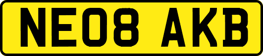 NE08AKB
