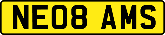 NE08AMS