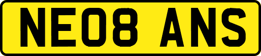 NE08ANS