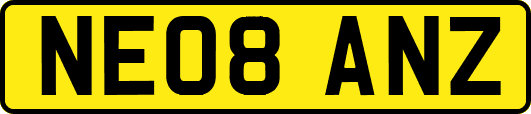 NE08ANZ