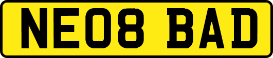 NE08BAD