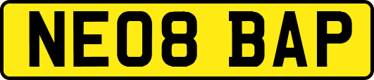 NE08BAP