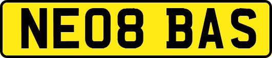 NE08BAS