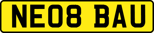 NE08BAU