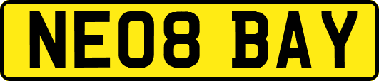 NE08BAY