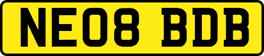 NE08BDB