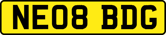 NE08BDG