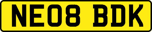 NE08BDK