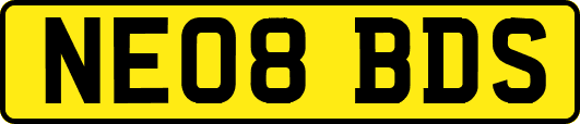 NE08BDS