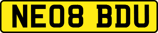 NE08BDU