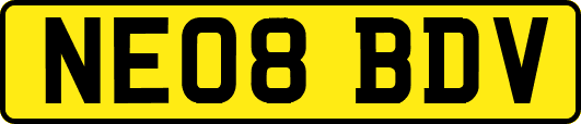 NE08BDV