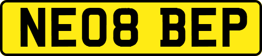 NE08BEP