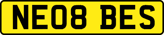 NE08BES