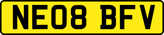 NE08BFV