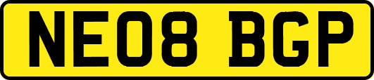 NE08BGP