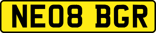 NE08BGR