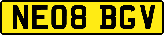 NE08BGV