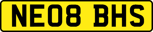 NE08BHS