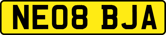 NE08BJA