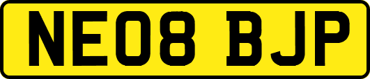 NE08BJP