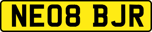 NE08BJR
