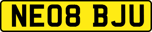 NE08BJU